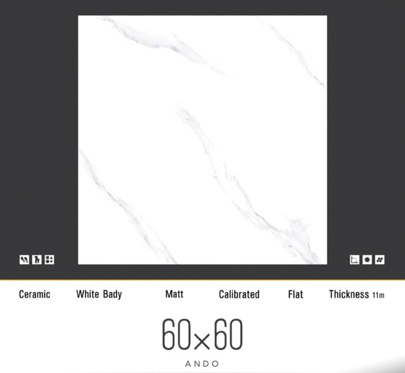 Ceramic White Body 60x60 tiles