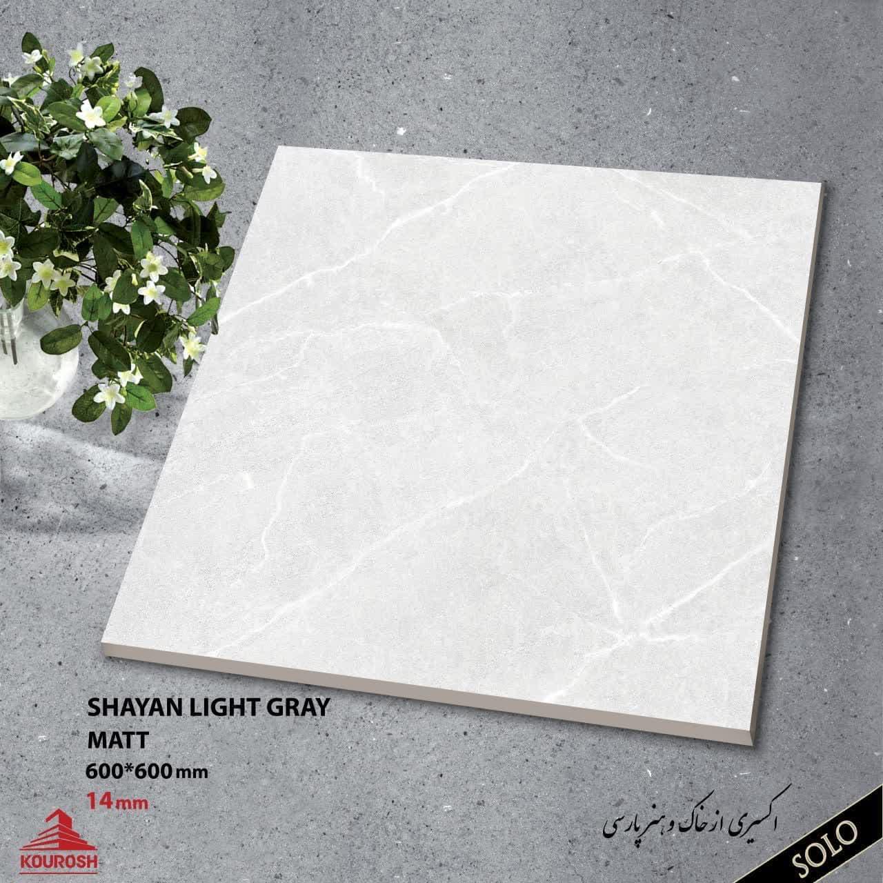 Porcelain Out door Tiles 60x60 14mm