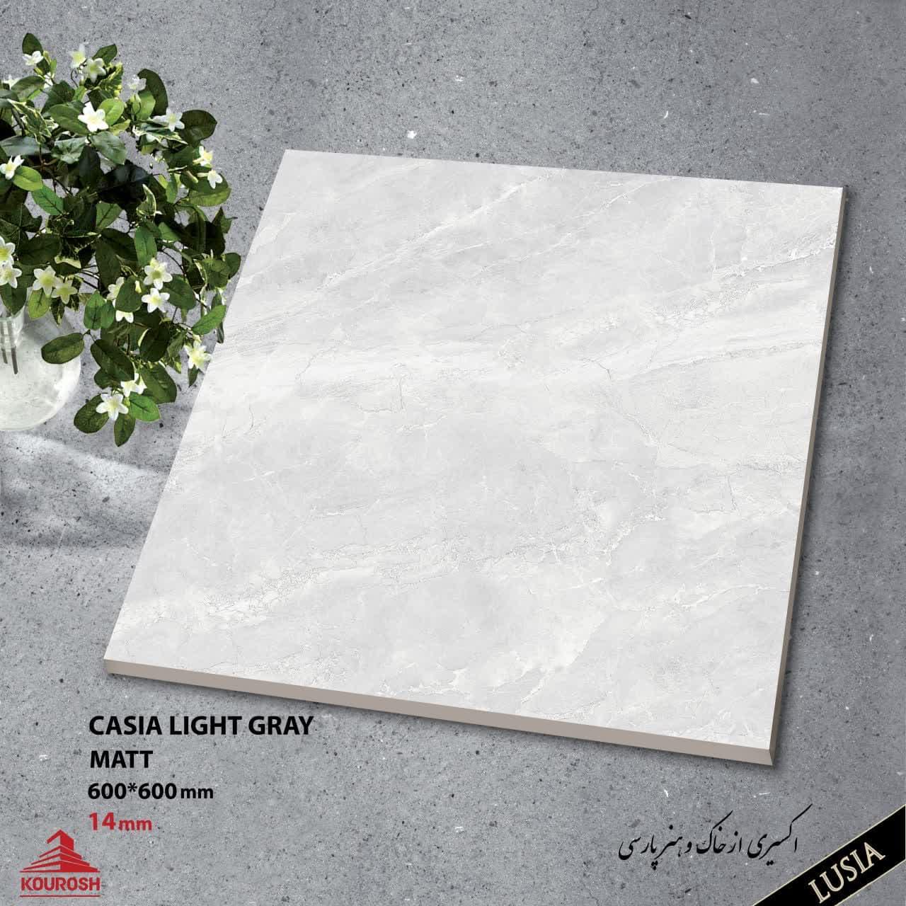 Porcelain Out door Tiles 60x60 14mm