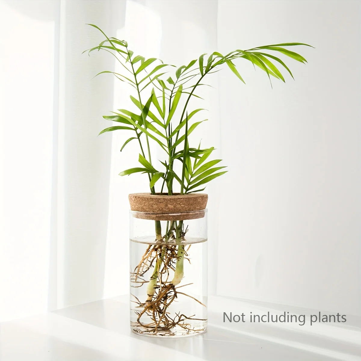 1pc, Hydroponics Plants Desktop Glass Planter Vase For Home Decoration, Plant Propagation Station Bud Vase, Desktop Hydroponics