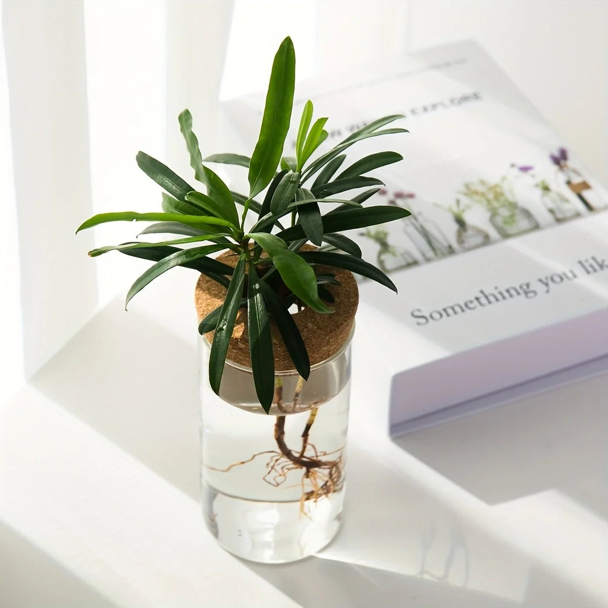 1pc, Hydroponics Plants Desktop Glass Planter Vase For Home Decoration, Plant Propagation Station Bud Vase, Desktop Hydroponics