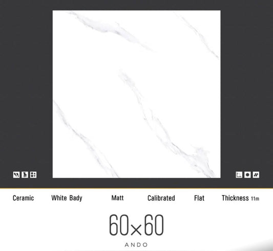 Ceramic White Body 60x60 tiles
