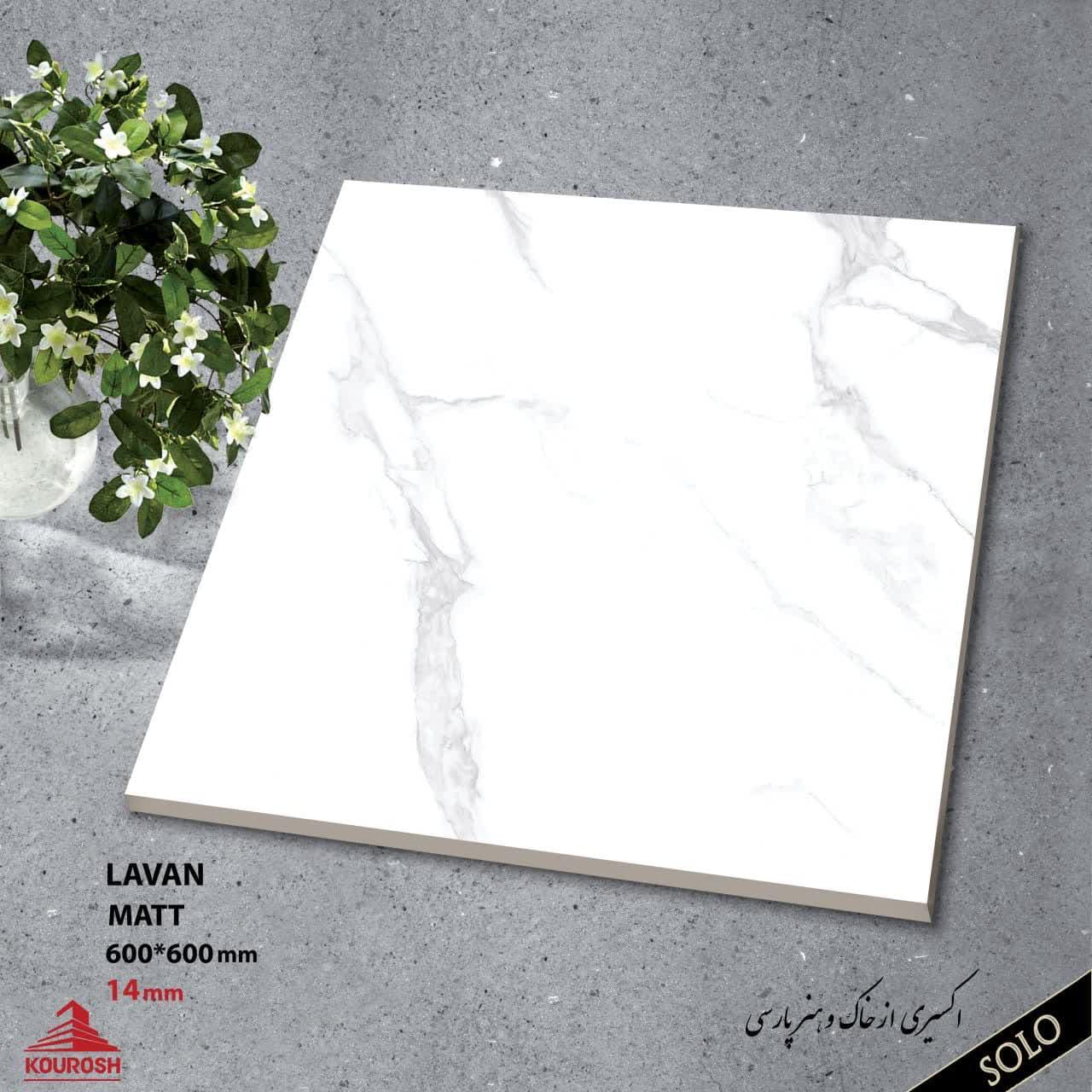 Porcelain Out door Tiles 60x60  14mm