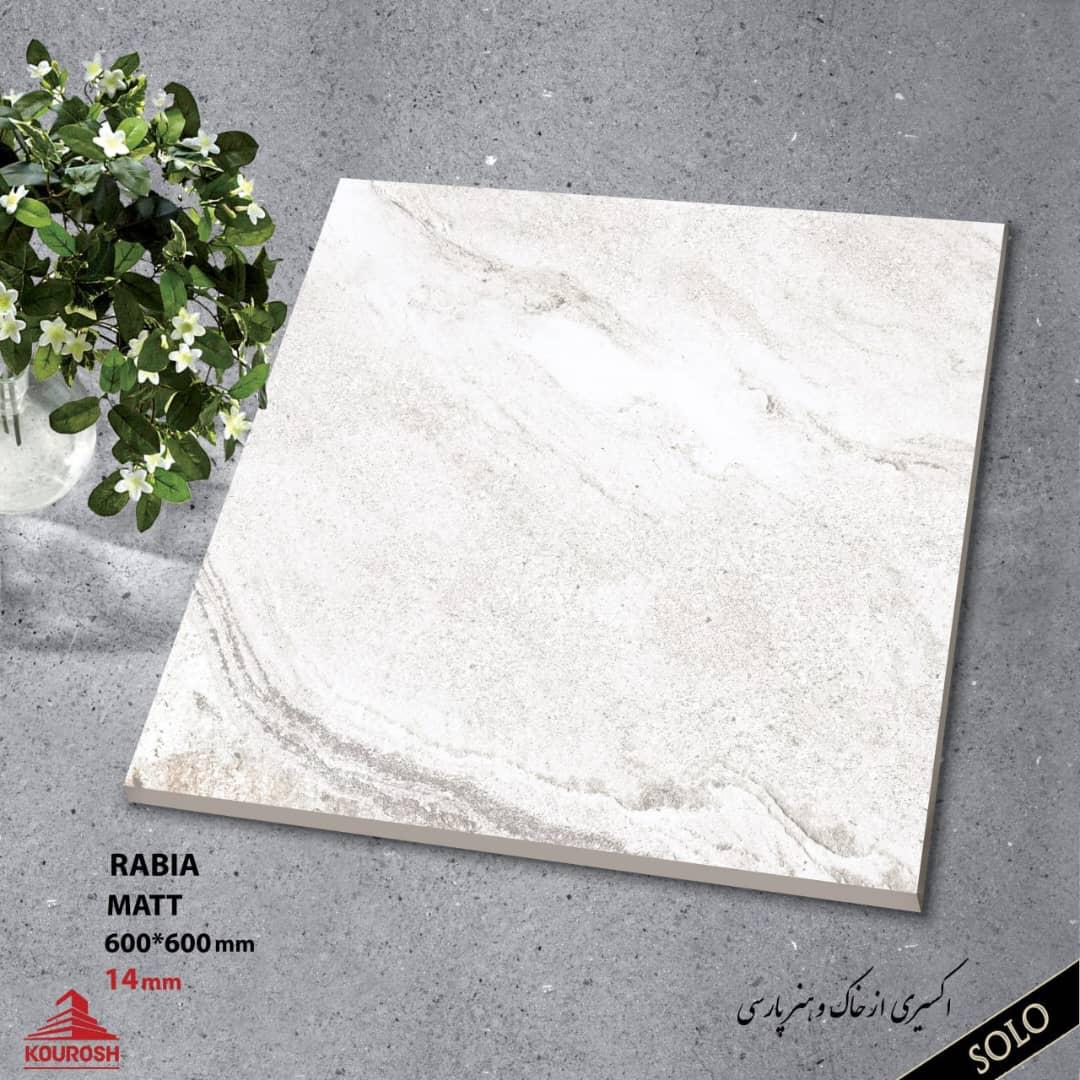 Porcelain Out door Tiles 60x60  14mm