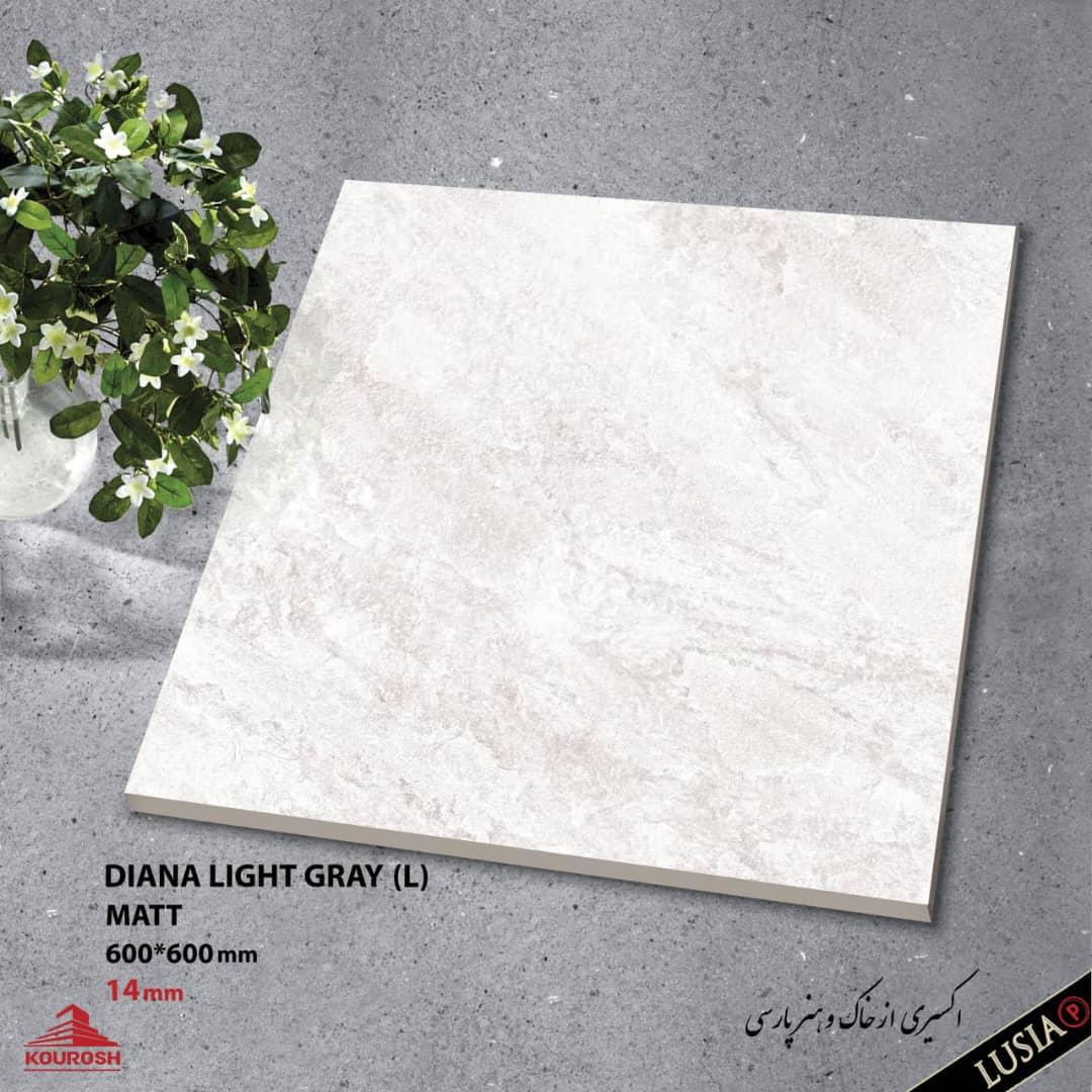 Porcelain Out door Tiles 60x60  14mm